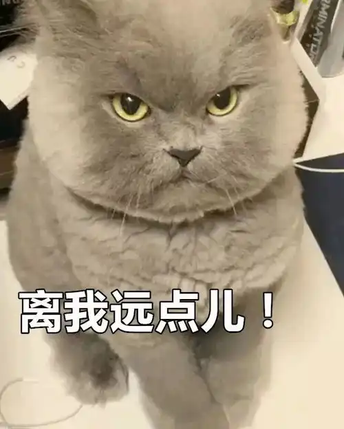  2017年的最后一天,