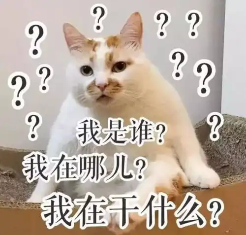  双十一抢购正确姿势你get到了吗哈尔滨剁手族必看
