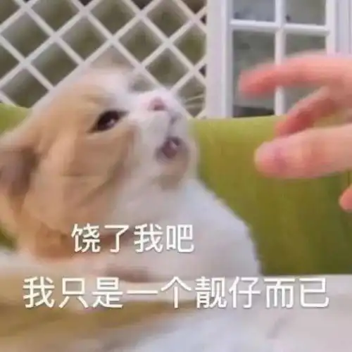  表情包没心没肺快乐加倍