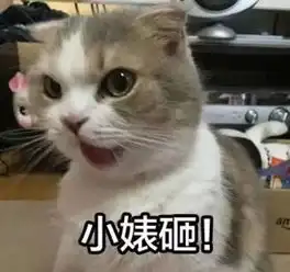  分享镇江的外卖小哥都是段子手么