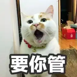  对,我就是那个365天都在被候选人放鸽子的hr