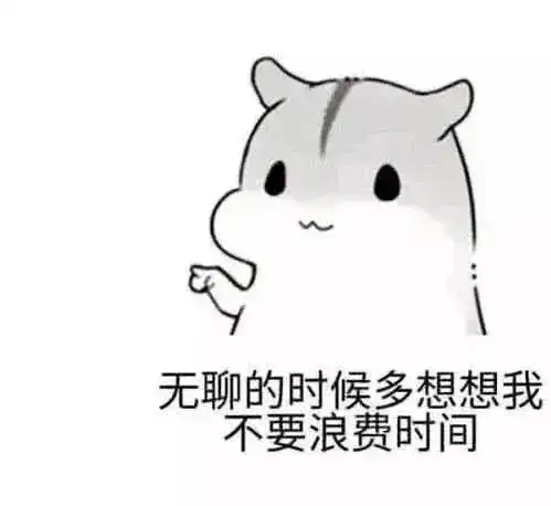  又多了一个新孩子