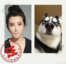 穷的图片搞笑表情包单身