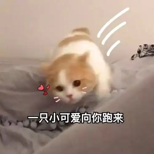  刚搜刮来的表情包,送你们了