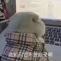 钻进电脑表情包