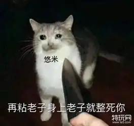  快乐魔法猫咪风靡峡谷悠米表情包安排一波