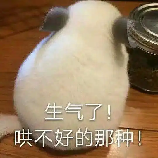  围笑的相册喵星人表情包