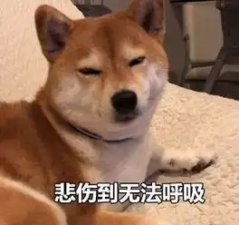  如果你也有被长语音支配过的恐惧......