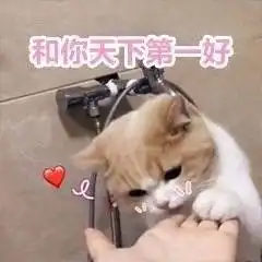 我不喜欢女人表情包女孩