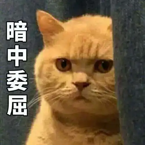  这只猫是网红猫吗看到好几次这个表情包了