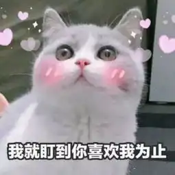  撩小哥哥用的表情包我混世大魔王,申请做你的小熊软糖