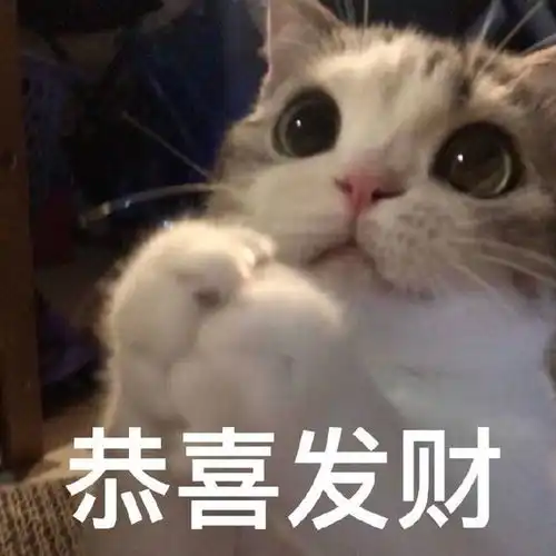  搞笑表情包图片比心拳头硬了,我现在就让你认清自己