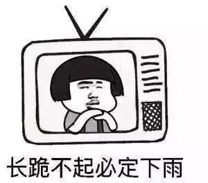  十年的狗vs一年的男朋友,你选哪个当然是狗啊节操睡了