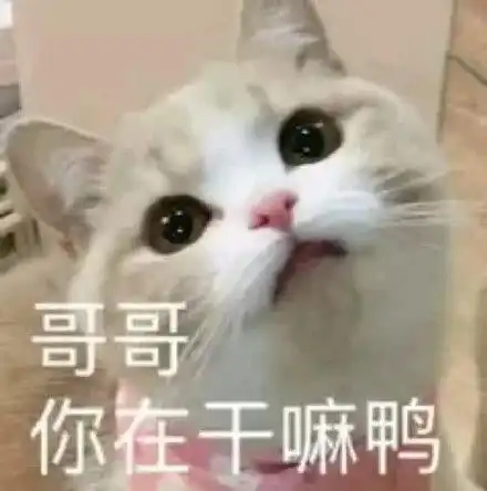  你在干嘛呀表情包合集