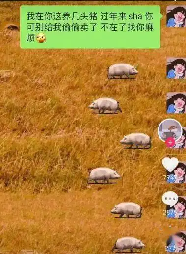  超火的养殖大户表情包合集