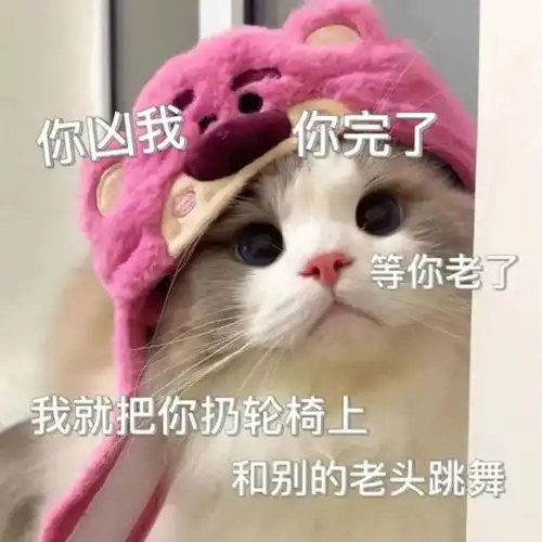 猫咪表情包宝,你实在过分冷漠,泪已打湿我的世界