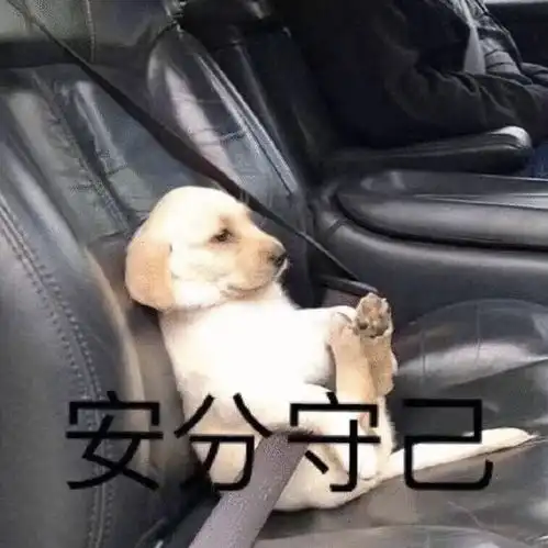 狗埋沙子进嘴里表情包