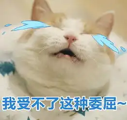  猫咪表情包没人疼,没人爱,我是地里的小白菜
