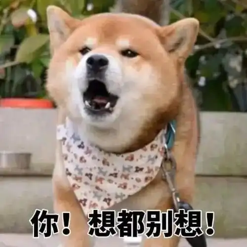  看到深圳人的医保,我酸了财富号评论cfhpl