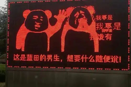  拉横幅out了浙大现表情包表白女生
