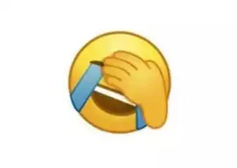 各个表情包的意思捂脸