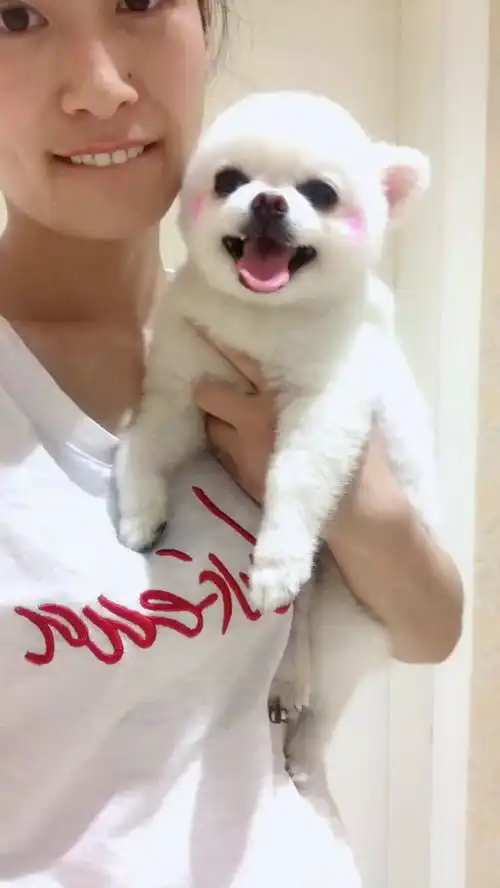 真是防不胜防,这哈喇子,这小表情也是醉了