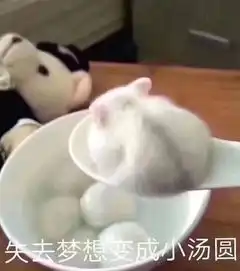  考研难吗为什么会有越来越多的人在途中放弃