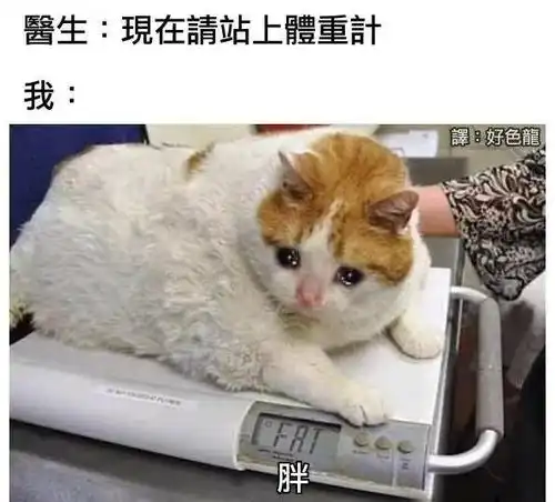 表示好奇的可爱表情包悲