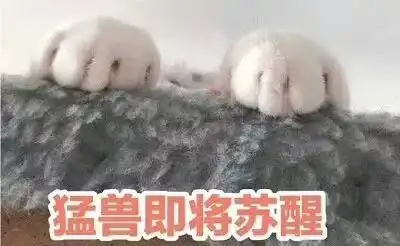  招新知道你会来,所以我一直在
