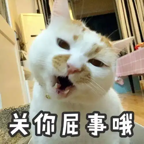  初代网红表情包相继离世愿小天使们一路走好