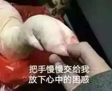  下限呢景区开业现场让200斤猪蹦极,生而为猪有什么错