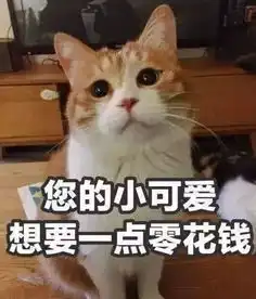  大学生活费多少才合适