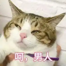  e句话看天下丨早就警告过你们不要磕假糖,看,无尾熊cp凉凉了吧