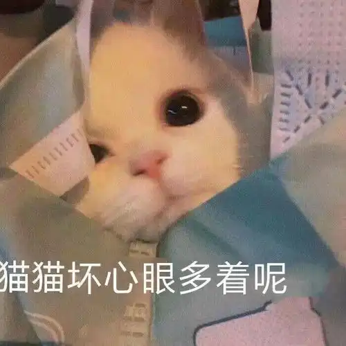  甜蜜时刻,我组也要有拉丝捏脸已变成奇怪小剧场
