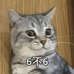  日常更新可爱表情包天啊,世界上怎么会有这么可爱的人