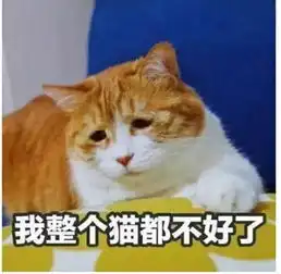  这些奇葩情缘,你是否也经历过