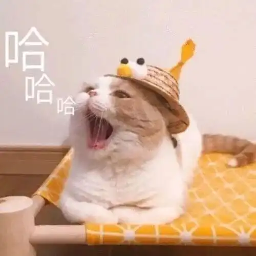  爱国表情包不用问了,无所谓,也有点累,有点意思