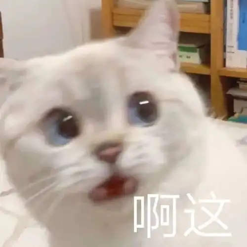  你能拒绝宠物喵的表情包吗我不能