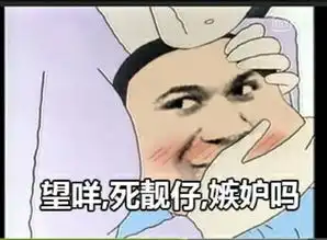  表情与斗图22无节操表情包1