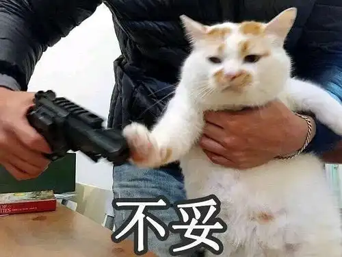  磕学