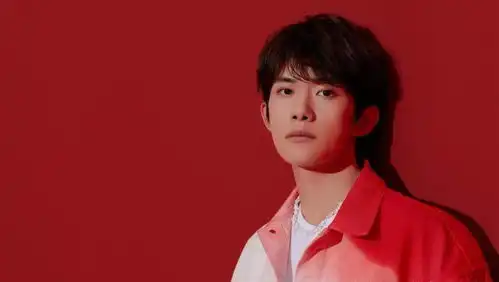  双十一晚会曝光阵容肖战王一博有望同台,李易峰杨幂再续前缘