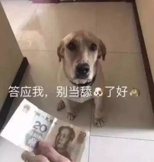  美滋滋表情包我可以去你家睡觉吗就一晚