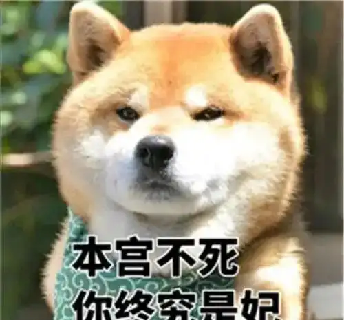  港圈海王的故事大b和乖乖仔分手月菇凉智斗淳儿