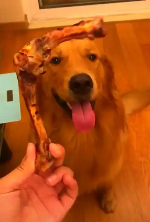  这小表情,这哈喇子流的馋死你了