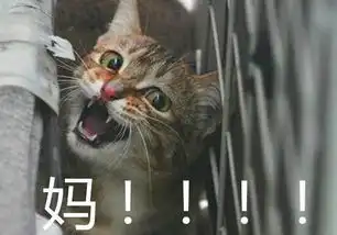 龙图表情包杀妈虎年