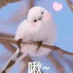  搞笑内涵段子我想请问下大家,才买1年的摩托车就漏油能保修么