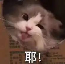  转发这个小醒目,明天就能学会队友的绝技一炮四响单人吃鸡不是梦