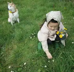  这个3岁小女孩在乡下养了一只柴犬,结果暖哭了全世界