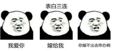  熊猫金馆长表情包嘴炮三连