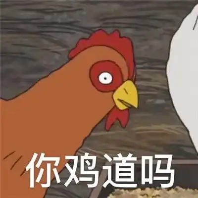  很火热门的你鸡道吗表情包你鸡不鸡道表情包